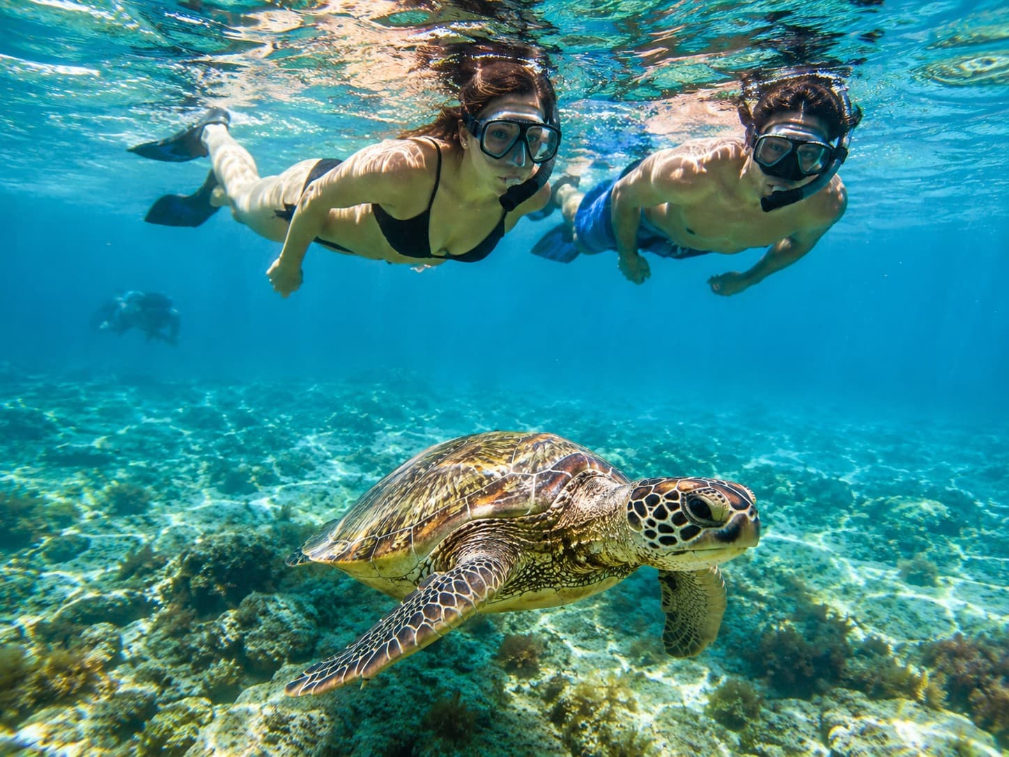Tulum, cenote Mariposa y nado con tortugas en Akumal