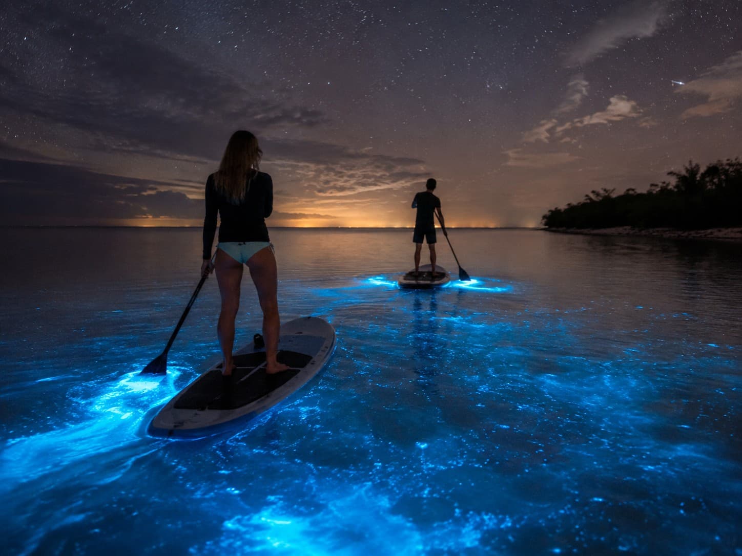 Bioluminiscencia en Punta Cocos Holbox