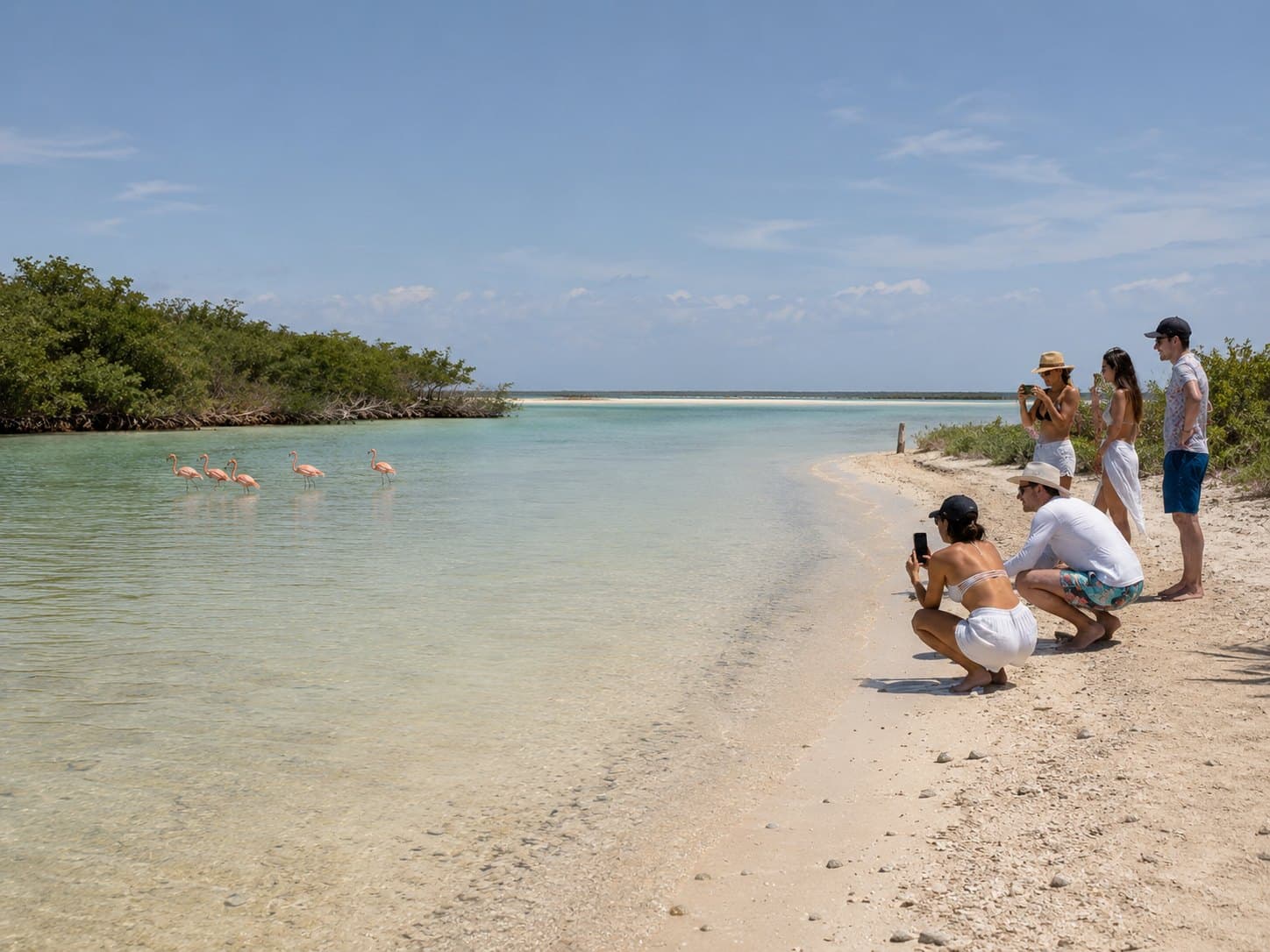 Flamencos en Isla Pasion cerca de Holbox